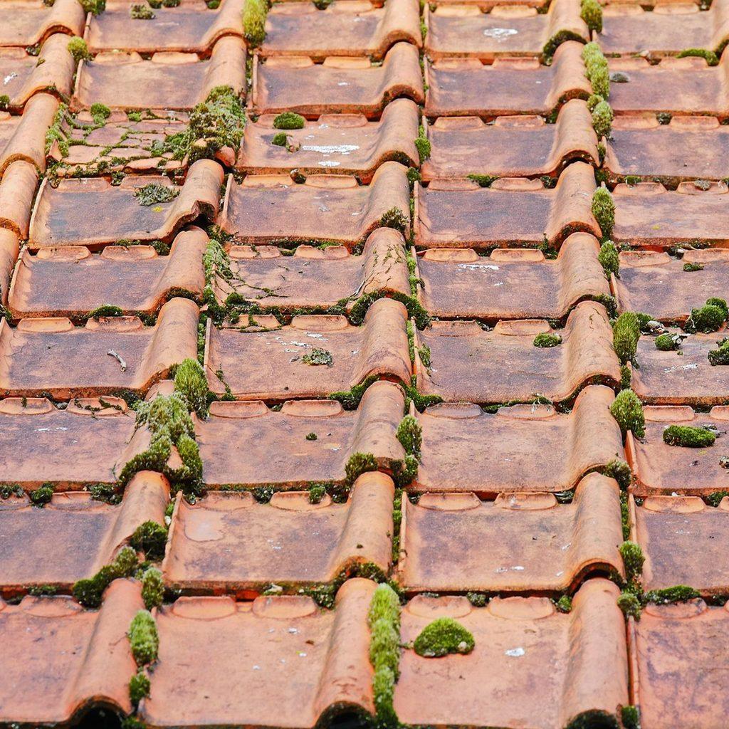 Professional roof replacement nh expert